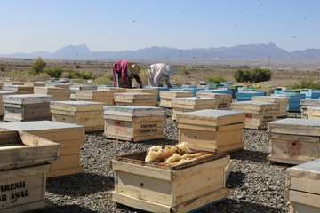IMG_0653 (2)